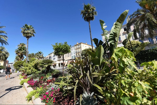 Pourquoi choisir Estilo, votre fabricant de semi-rigide à Hyères ?